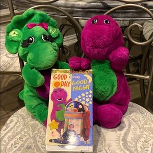 Vintage Barney and Baby Bop plush with DVD